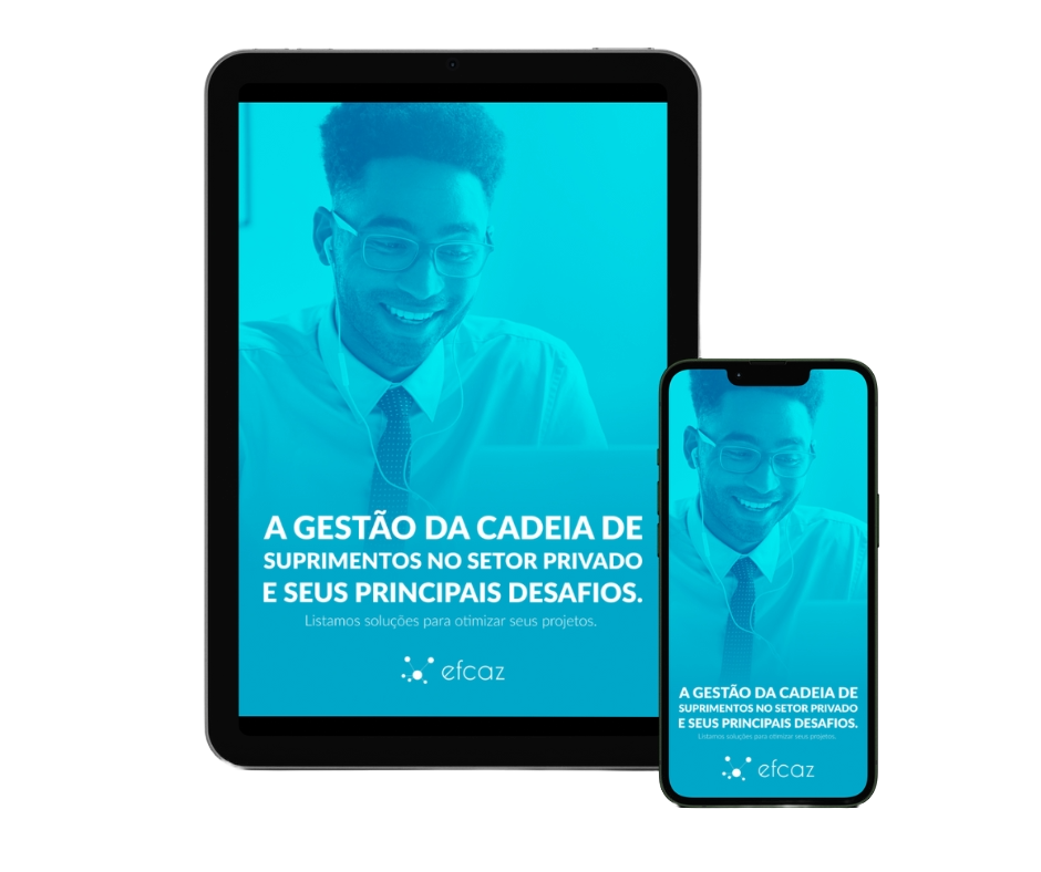 Ebook Gestão da Cadeia de Suprimentos