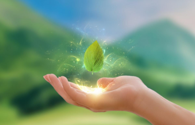 Gestão de fornecedores sustentável para o sucesso